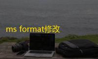 ms format修改版下载